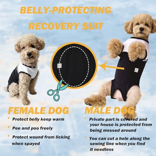 Dog Surgical Suit - Recovery Onesie for Dogs After Surgery, Spayed Female/Male Puppy, Breathable Anti-Lick Clothes, Alternative to Cone(Black and White-xs) - color: black and white, size: X-Small
