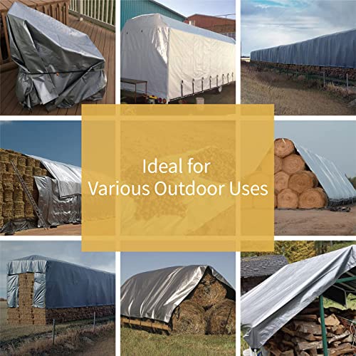 GUARD SHIELD Heavy Duty Tarp 30x30 Feet Silver Multi Purpose Thick Waterproof Poly Tarp Cover 10mil - color: Silver, size: 30x30