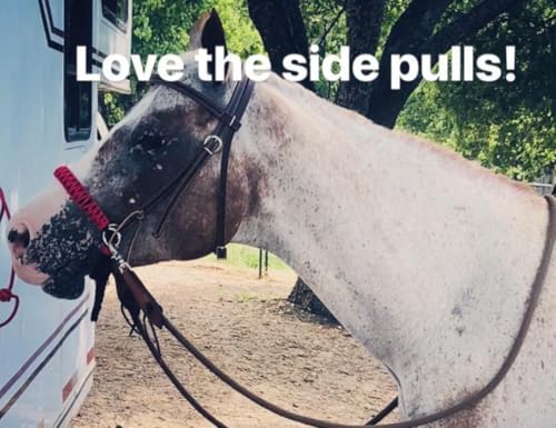 side pull hackamore bitless bridle attachment red horse tack