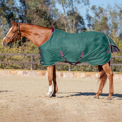 Kensington Protective Products Signature Light Weight Horse Turnout Blanket, Hunter, 69-in | 1200D ripstop waterproof shell with breathable wicking liner, 80g fill best for mild spring and fall weather