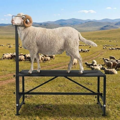 Goat Milking Stand, Metal Livestock Platform - Heavy Duty 47"X23" Metal Livestock Shearing Stand with Adjustable Height (21" to 33") & Headpiece/Nose Loop, Black - color: Black