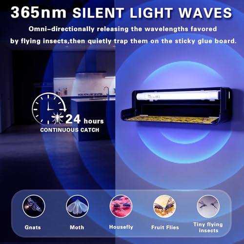 Fruit Fly UV Light Trap Indoor Commercial for Restaurants Bug Zapper 1 PCS - style: 1pack-Black-w/5 Sticky Glue Boards