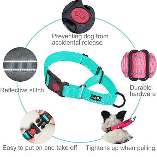 haapaw Martingale Dog Collar with Quick Release Buckle Reflective Dog Training Collars for Small Medium Large Dogs - color: Turquoise, size: S