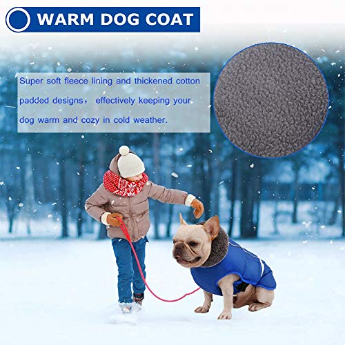 QBLEEV Warm Dog Coat, Reflective Dog Jacket, Waterproof Dogs Winter Coat - color: Blue, size: Large