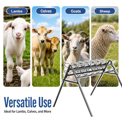 14 Feeding Ports Bottle Rack | Portable Bottle Holder, Free Standing Bottle Feeder Rack for Calves Lambs Goats Farm Animal Livestock (Bottle Not Included)