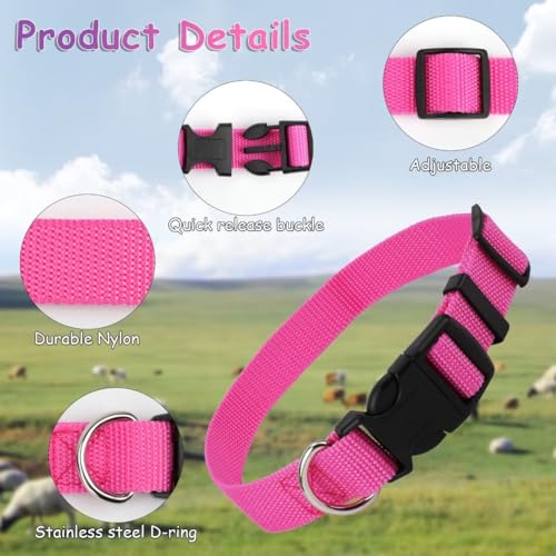 5 Pack Classic Goat Collars with Bells,Anti-Lost Pet Collar - color: Multi-colored
