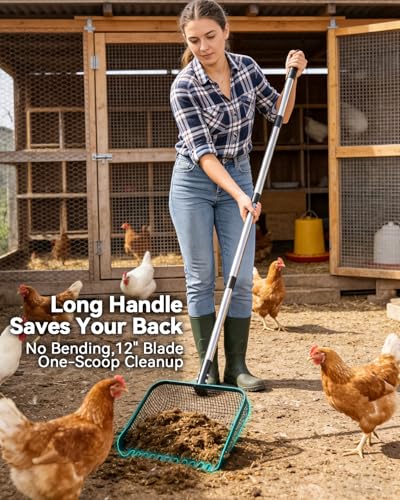 12" Chicken Poop Scooper, Stainless Steel Handle (36–62")