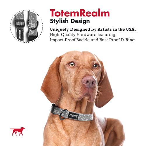 Tuff Pupper Premium Adjustable Dog Collar for Small Boy & Girl Dogs, Stylish Pattern Collars Designed in USA, Quick Release Buckle, TotemRealm Print, Small (0.7 Inch Wide x 8-12 Inch Neck) - color: TotemRealm, size: Small