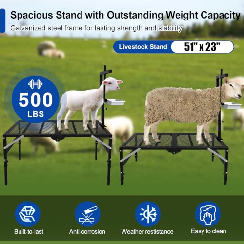 Foldable Goat Miliking Stand - 51x23 inch Metal Livestock Stand with Removable Feeding Tray, 500lbs Capacity Goat Sheep Stand for Trimming Shearing Milking Hoof with Adjustable Headpiece and Height