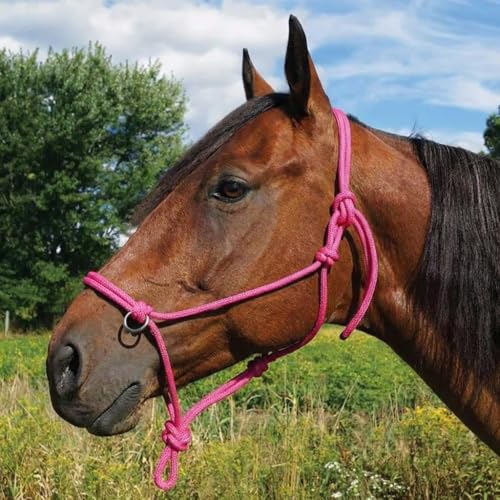 Southwestern Equine Side Pull Rope Halters with Nickle Plated Rings - color: Pink