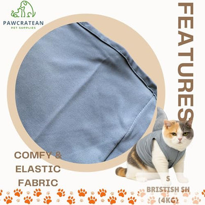 Pet Custom Dog Custom Cat Custom Hoodie, Sporty Look, Funny Gift, Halloween Holiday (Shark with Standing Fin, Small) - color: Shark with Standing Fin, size: Small