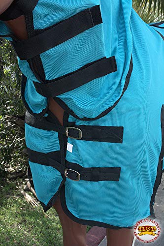 HILASON Horse Fly Sheet UV Protect Mesh 66 in Turquoise - color: Turquoise with black piping, size: 66 In