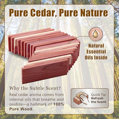 Cedar Space Cedar Blocks for Clothes Storage, 32 PCS Cedar Chips Wood Plank - size: 32 Count (Pack of 1)