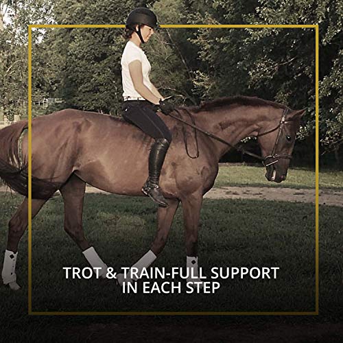 Kavallerie Classic Tendon Boots, Impact-Absorbing Material, Breathable & Evenly Distribute Pressure, Protect Tendon and Ligaments, Anti-Slip, Anti- Sore and Moisture Repellant Show Jumping Boots - color: Support Boots(Pro-K), Black