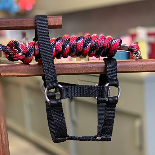 HalterUp Cute and Stylish Foal and Small Miniature Horse Halter and Lead Rope - Strong and Durable Yet Comfortable - Available in Black and Pink (Black, Foal/Newborn (up to 6 Months))