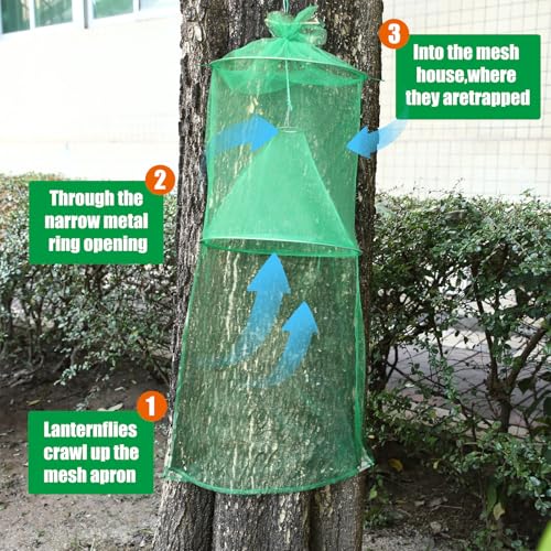 Qualirey 2 Pack Spotted Lanternfly Trap Lanternfly Killer for Tree,Green - color: Green