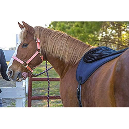 Intrepid International Comfort Plus Bareback Pad, Black, 21-3/4 in x 22"