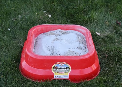 Little Giant® Chicken Dust Bath Pan - 10 Quart Heavy-Duty Plastic Poultry Grooming Basin for Hens & Chicks - Coop Container Tub with Drainage Holes for Dirt, Sand & Ash - Made in USA