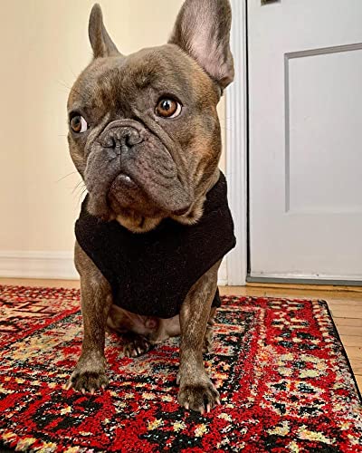 Gooby Stretch Fleece Vest Dog Sweater, Black, X-Small - color: Black, size: X-Small Length (7")