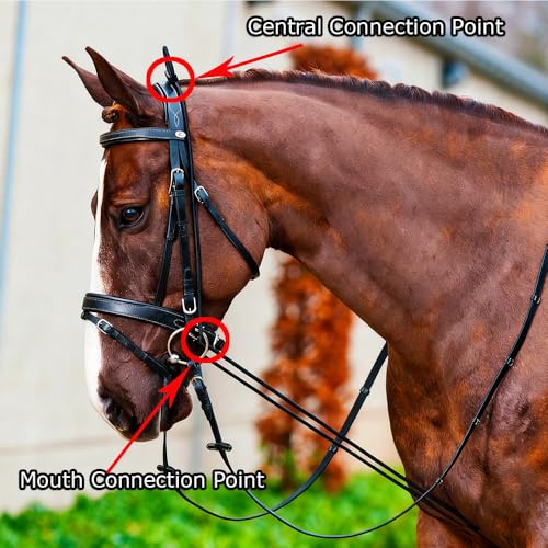 Horse Side Reins with Elastic Latex, Adjustable Equestrian Training Equipment, Horse Neck Stretcher, Nylon Training Rope for Horse Training (118in Length)