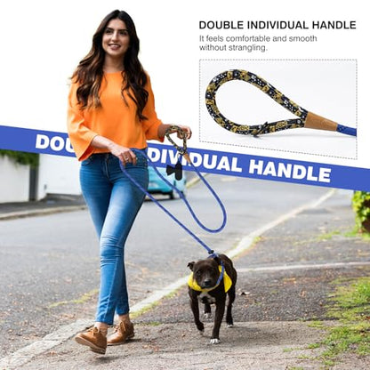 lynxking Dog Leash 3/8in x 6ft Slip Lead Reflective Blue and Green, 2 Pack