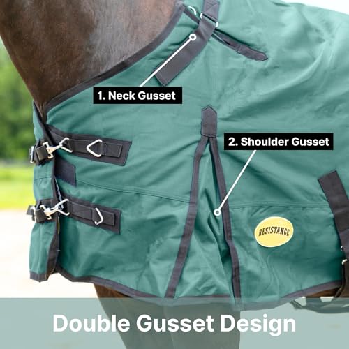 RESISTANCE Premium 1680D Waterproof Horse Turnout Blanket with 300g Polyfill & Adjustable Buckle Closure - color: Bottle Green, size: 84"
