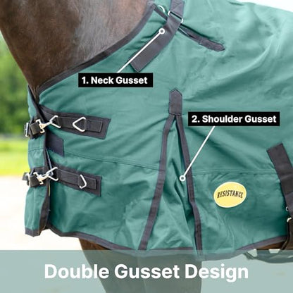 RESISTANCE Premium 1680D Waterproof Horse Turnout Blanket with 300g Polyfill & Adjustable Buckle Closure - color: Bottle Green, size: 72"