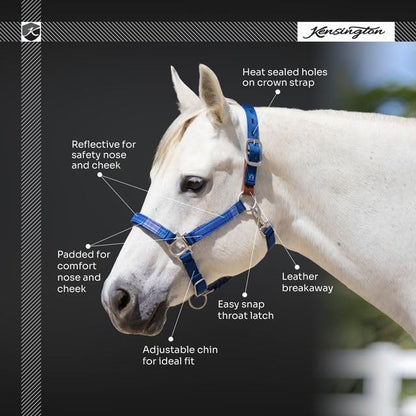 Kensington Premium Breakaway Halter with Padded Nose — Added Breakaway Safety Measures — Snap at Throat for Identical Fit Each Time - color: Black, size: Medium