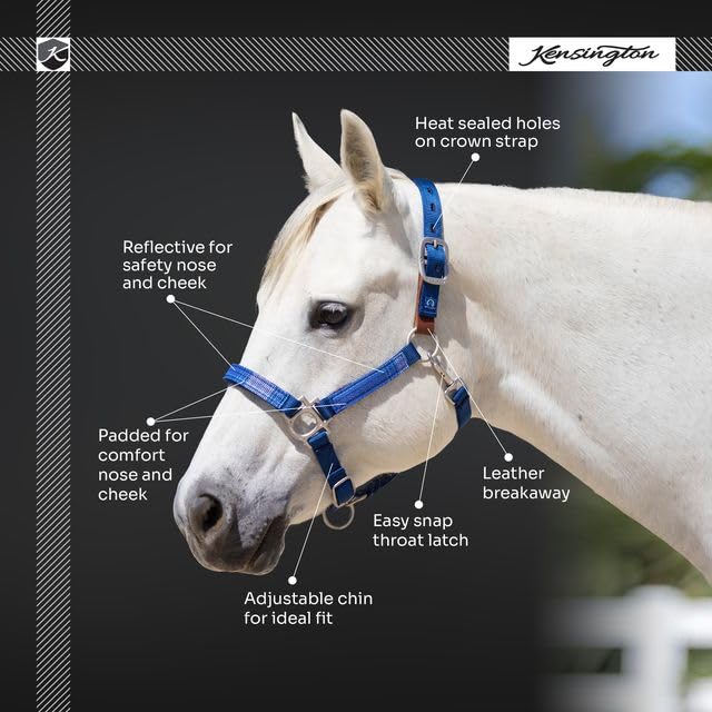 Kensington Premium Breakaway Halter with Padded Nose — Added Breakaway Safety Measures — Snap at Throat for Identical Fit Each Time - color: 204-Raven, size: Large