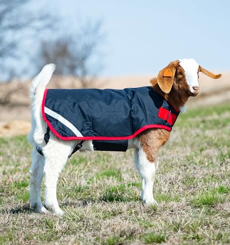 Horseware® Goat Rug - Navy/Red, L - color: Navy/Red, size: L