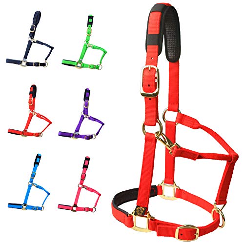 T TEKE Adjustable Horse Halters by Heavy Duty Soft Nylon, Padded with Anti-rubbing Waffle Neoprene on Both Crown & Nose - color: Red, size: X Full (XL)