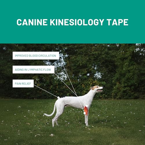 VetkinTape Canine & Equine Kinesiology Tape | Veterinary Tape 2.4" - color: Lime
