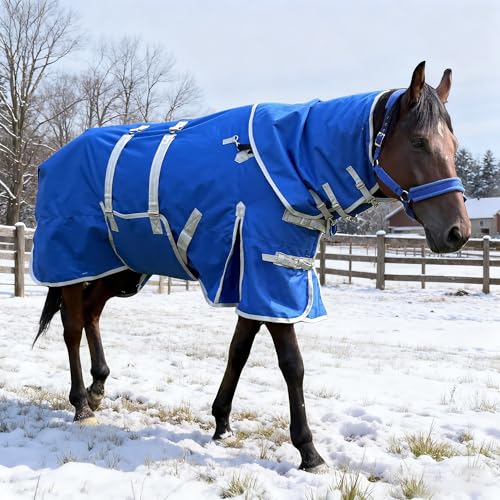 Turnout Horse Blankets Care Sheets, Blue 1800D Waterproof Breathable 320 Gram Filling (US78 in(EU 145 cm)) - size: US78 in(EU 145 cm)