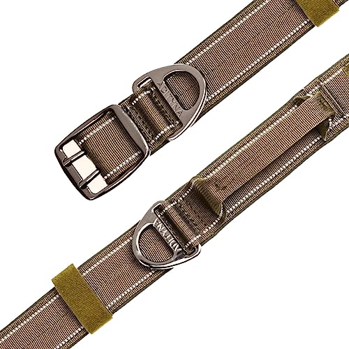 ADITYNA Heavy Duty Green Dog Collar for Medium Dogs with Traffic Handle - color: Ranger Green, size: Medium: Fit 15-19" Neck