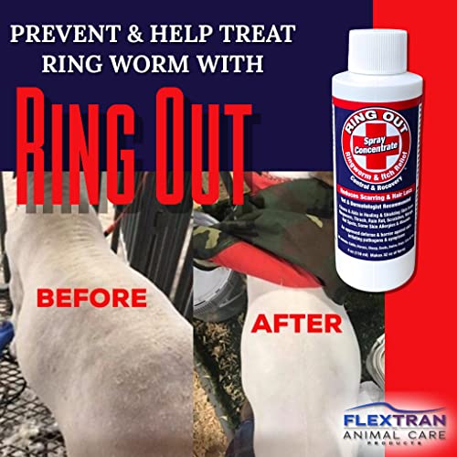 Show Pro Red Goat Blanket Nylon with Mesh Butt for Show Goats - Livestock Supplies for Goat Cover. Free Ring Out Concentrate for Proven Ringworm & Fungus Prevention Included - size: Medium