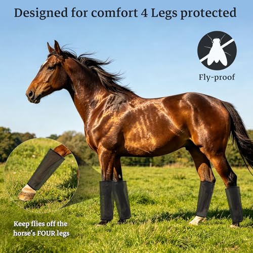 Mesh Horse Fly Boots, Set of 4, Black - color: Black