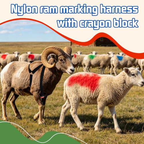 Ram Breeding Marking Harness & Crayons Set for Goat Sheep,3 Color | 3 Marking Crayons,Adjustable Nylon Strap,Quick-Release Buckle,Universal Fit | Rain-Resistant Marks,Livestock Management