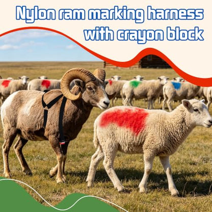Ram Breeding Marking Harness & Crayons Set for Goat Sheep,3 Color | 3 Marking Crayons,Adjustable Nylon Strap,Quick-Release Buckle,Universal Fit | Rain-Resistant Marks,Livestock Management