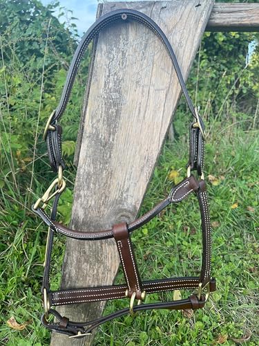 Leaders Leather Halter for Horses with Customized Engraved Name Plate Option Halter for Horse - size: Horse Size