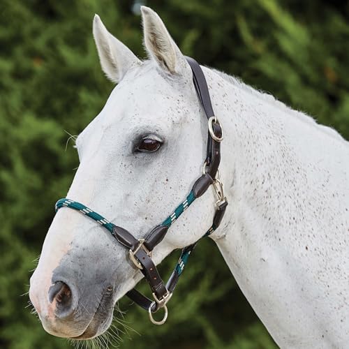 Kincade Leather Rope Halter, Hunter Green/Brown, Warmblood - color: Hunter Green/Brown, size: Warmblood