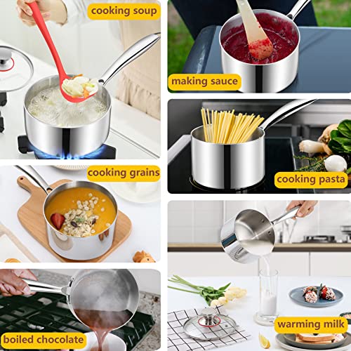 LIANYU 1QT & 2QT Saucepan with Lid, Triply 18/10 Stainless Steel Cooking Pot, Small 1 Quart and 2 Quart Saucepan, Induction Cookware for Boiling Stewing, Dishwasher Safe - size: 1QT+2QT