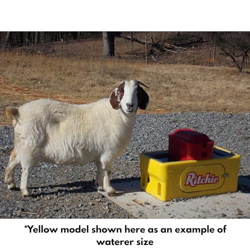 Ritchie Omni-2 Special Green Automatic Livestock Waterer – Heated Stainless Steel Trough, Insulated Energy-Efficient OmniFount Unit for Sheep, Goats, Calves & Small Animals, 120volts, Model 18686