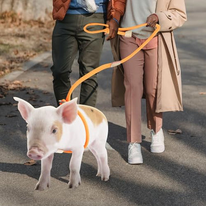 Mini Pig Harness & Leash, Adjustable 8 Feet Long Rope for Small to Medium Pet Pigs - color: Orange