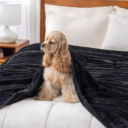 Berkshire Blanket Classic VelvetLoft® Solid Bed Blanket Queen Size,Lightweight Soft Fuzzy Plush Blanket for Bed and Couch,Black,90x90 Inches - color: Black, size: Full/Queen