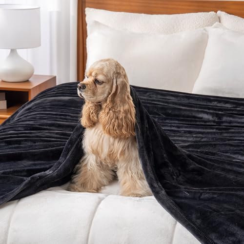 Berkshire Blanket Classic VelvetLoft® Solid Bed Blanket,Twin Size Bed Blanket,Lightweight Soft Fuzzy Plush Blanket for Bed and Couch,Black,60x92 Inches - color: Black, size: Twin/Twin XL