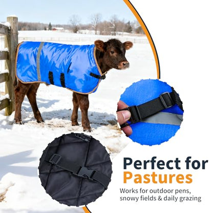 Fleece-Lined Calf Coat – 150g Insulated Winter Jacket for Calves & Goats – Blue/Gold – 2-Pack