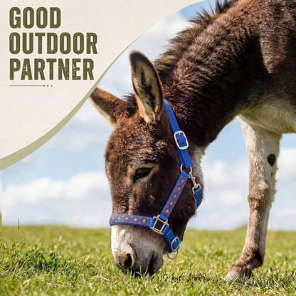 Miniature Donkey Halter, Adjustable Nylon Pony Halter with 3 Adjustable Buckles, Lightweight Small Equine for Farm Mini Horses Training, Blue, No Lead Rope Included
