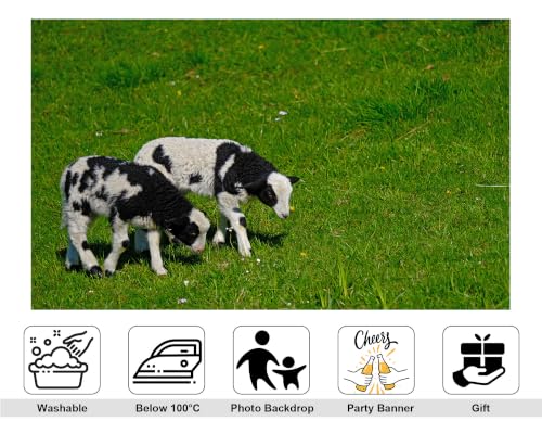 8x8ft Fabric Spotted Lamb Pair Backdrop Black White Wool Young Sheep Lush Bright Green Grass Meadow Photography Background Tapestry Party Farm Animal Decorations Photo Booth Props - size: 8x8ft