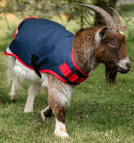 Horseware® Goat Coat 0g - Navy/Red, S - size: S