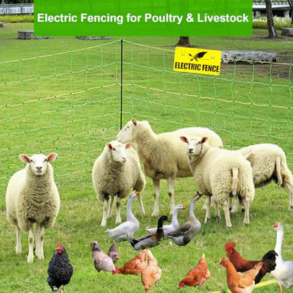 Electric Poultry Netting Fence, Portable Electric Fence for Poultry and Livestock Chicken Sheep Lambs Hogs Deer Dogs in Backyards Farms Ranches Homesteads and Gardens (49.6"x 164') - size: 49.6"x 164'-Poultry